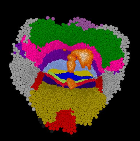Euclidean Flat Map with Functional Regions