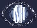 IEEE Biomedical Imaging Symposium 2004 Logo