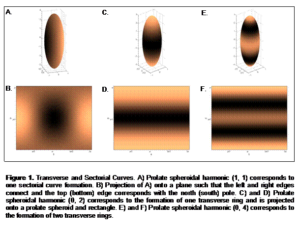 Supporting Image: hbm10_figure1.gif