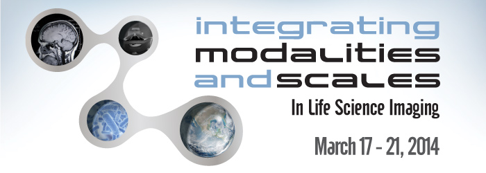 MBI Integrating Modalities 2014 Logo