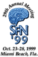 SFN'99 Logo